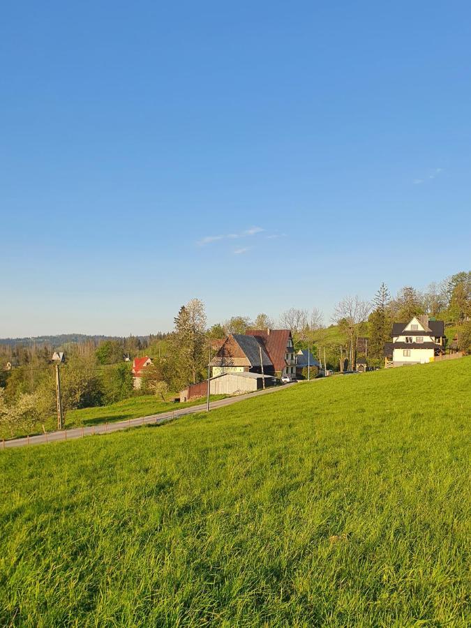 Willa Jedrek Z Sauna, Kominkiem I Tarasem Zakopane Exterior foto
